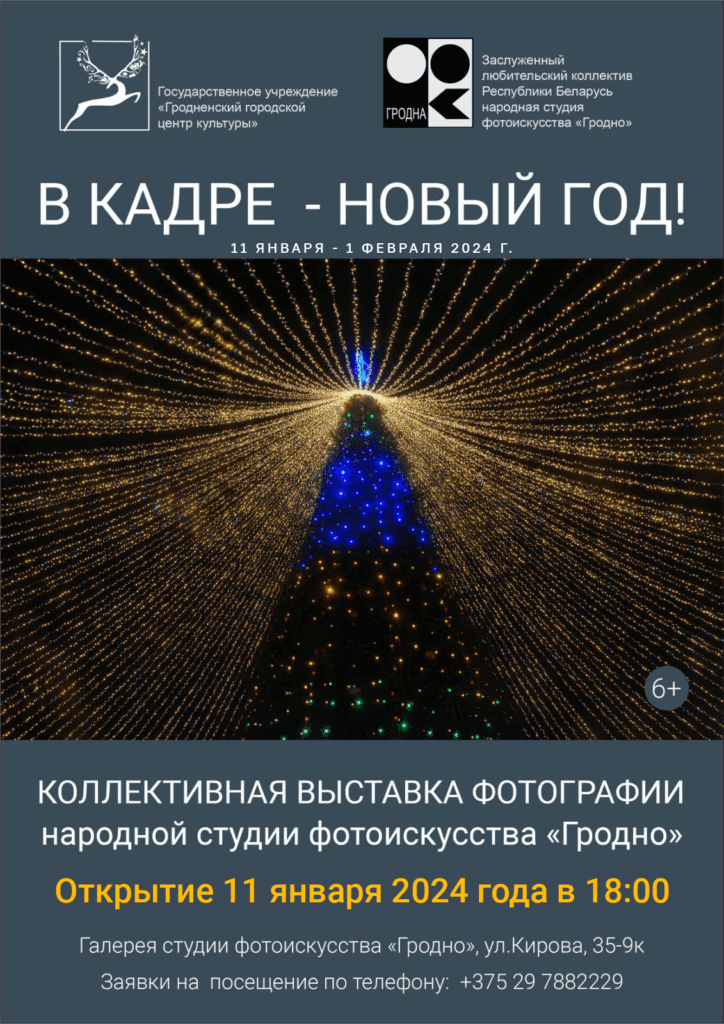 Фотовыставка «В кадре - Новый год!»